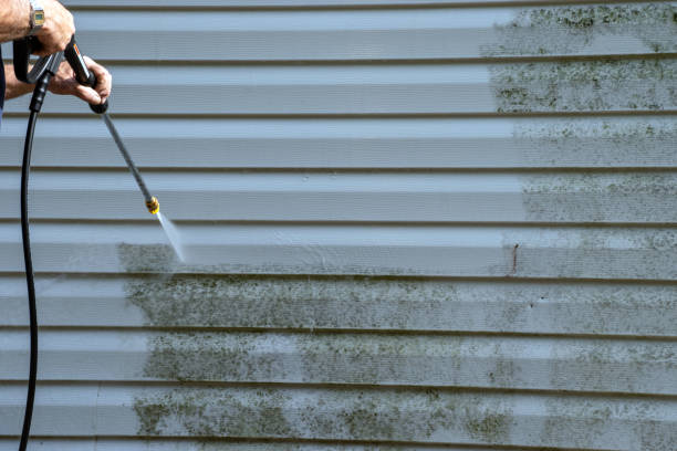 Trusted Irvine, KY Siding Installation & Repair Experts